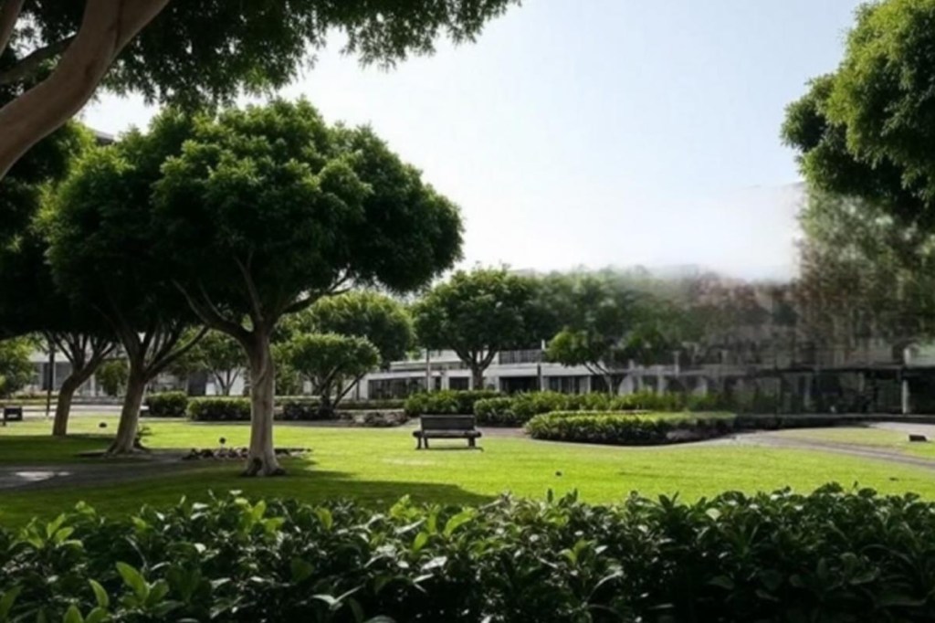 Un gran espacio verde en&nbsp;Arrecife