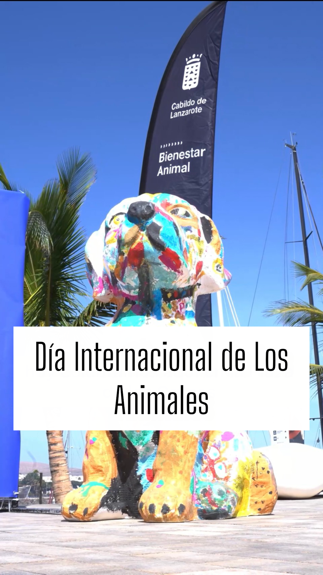 Día Mundial de Los Animales